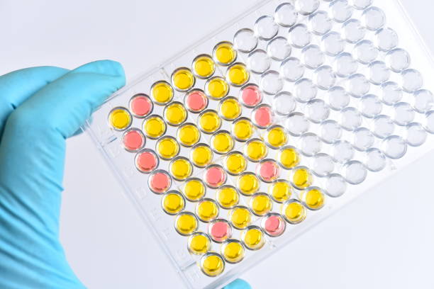 istock Enzyme-linked immunosorbent assay or ELISA plate 1222035932