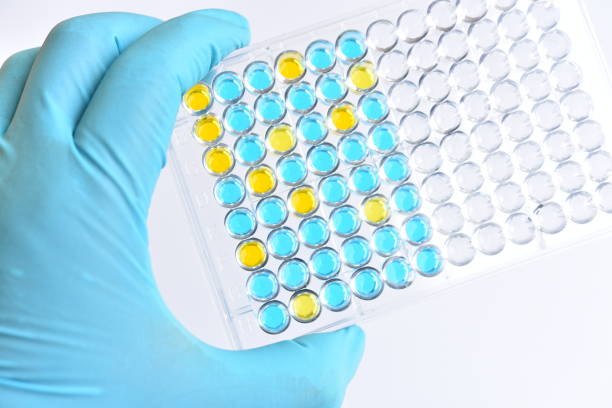 istock Enzyme-linked immunosorbent assay or ELISA plate 1222035939
