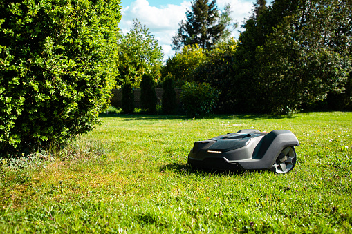 Robot Mower - Automatic Lawn Mower mowing green grass in green garden. Drone Point of View directly down towards the robot mower. Modified - Edited and Retouched Robot - Modified Colors. Model, Garden Home Automation Series - Robotic Mower in Summer