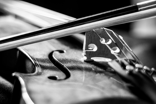 Artful black and white photo of a violin body and bow