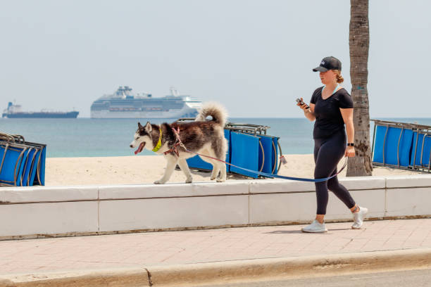 Girl walking a dog down beach boardwalk on wall stock photo