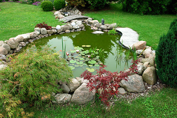 istock Beautiful classical design garden fish pond gardening background 122203842