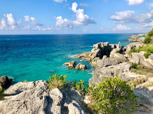 Overlooking Ocean from Cliff in Horseshoe Bay, Bermuda