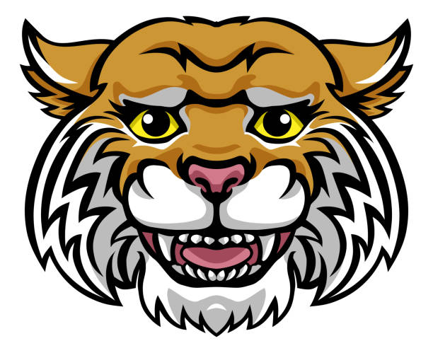 ilustrações de stock, clip art, desenhos animados e ícones de wildcat mascot cute happy cartoon character - bobcat wildcat undomesticated cat animal