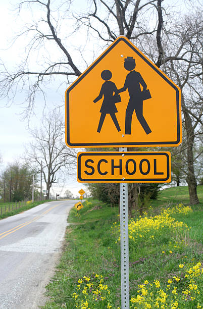 istock Brand New School Sign 122204795