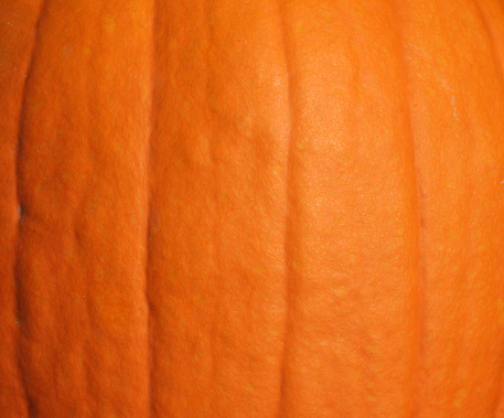 A pumpkin skin up close.  