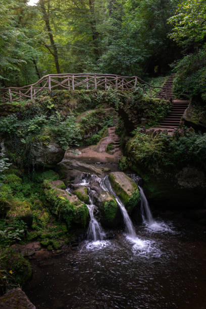 istock Mystical forest in Mullerthal, Luxembourg (also known as Little Switzerland) 1222052271
