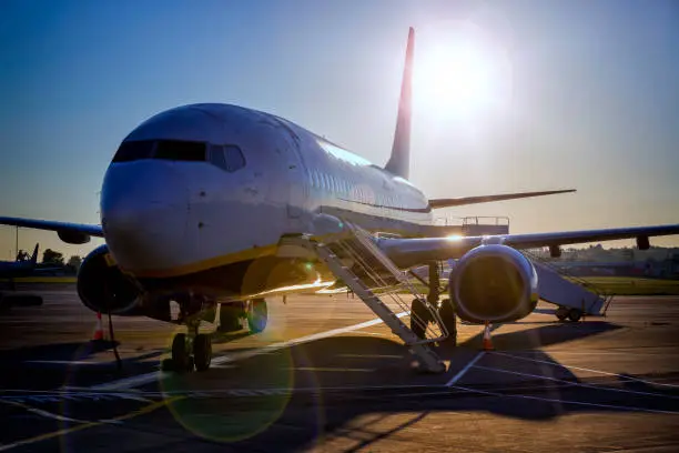 Aircraft  Boeing 737-800 grounded by the pandemic virus covid-19