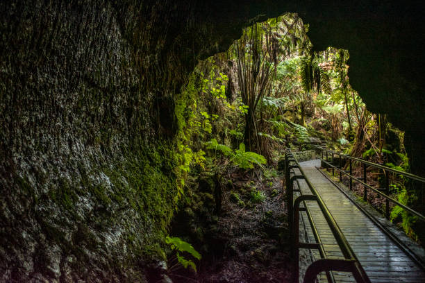 Lava tube interior Inside of a lava tube looking back toward the opening. Lava tubes form when molten lava from a volcanic eruption thickens to form a crust creating a roof over the still flowing lava stream. robertmichaud stock pictures, royalty-free photos & images
