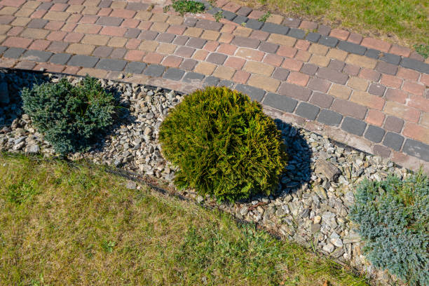 istock spring garden by the house 1222052855