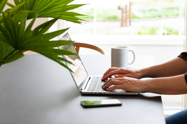 Hands of a person by a table at home working on a laptop computer with coffee mug and a mobile phone. A green palm flower in the foreground and view outside a window. Working or studying concept.