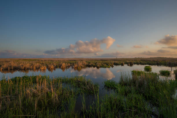 istock Sunset reflections at Mackay Island wetlands 1222053677