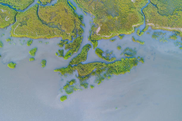 istock Straight-Down View of Georgia River and Marsh 1222053902
