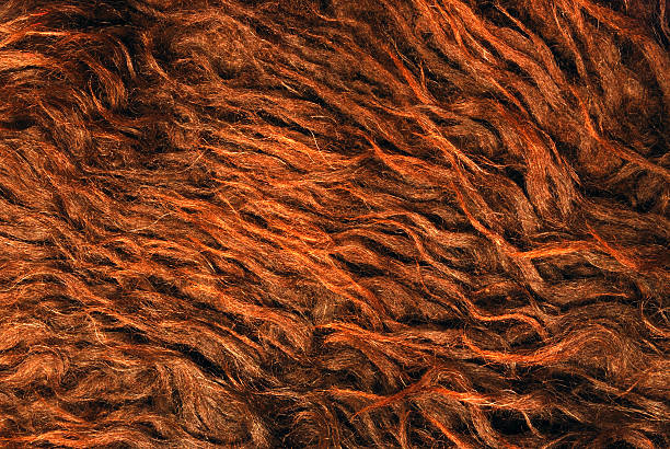 istock Fur of a ram 122205475