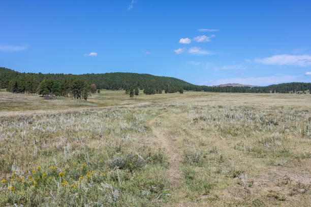 istock Wide Open Space in Rural South Dakota 1222055877