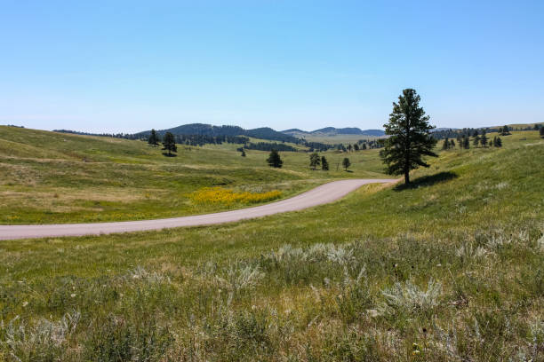 istock Highway through South Dakota Meadow 1222056069