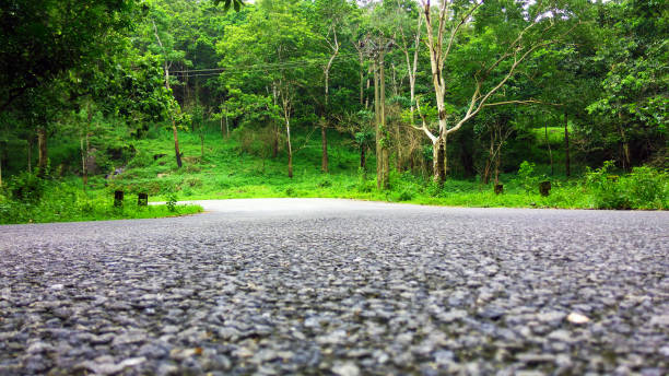 istock Road leading to Athirapally water fall 1222057043