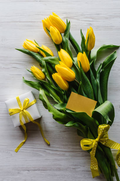 Bouquet of tulips with gift box on white wooden background. Craft postcard with space for message. Holiday greeting card for Valentine's, Women's, Mother's Day, Easter. Birthday.
Top view, flat lay. ramo de tulipanes con caja de regalo sobre fondo de madera blanca. crea postales con espacio para el mensaje. tarjeta de felicitación navideña para san valentín, día de la mujer, día de la madre, pascua. cumpleaños.
vista superior, plana.