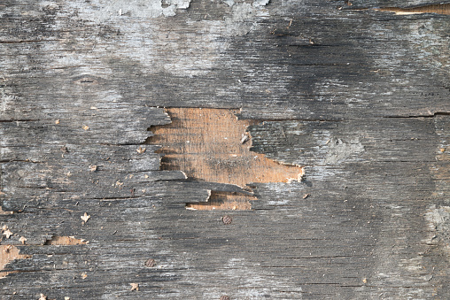 Old plywood texture