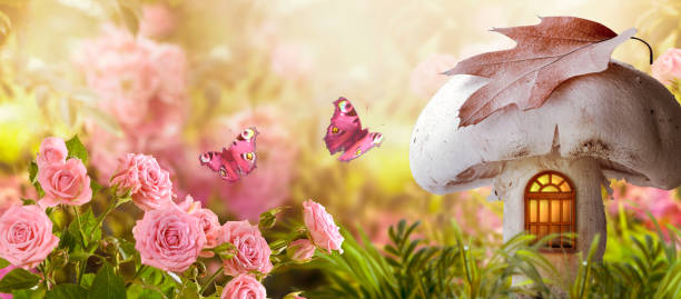 Magical fantasy elf or gnome mushroom house with window and butterflies in enchanted fairy tale garden, fabulous fairytale blooming pink rose flower field, shiny glowing sun light Magical fantasy elf or gnome mushroom house with window and flying butterflies in enchanted fairy tale garden, fabulous fairytale blooming pink rose flower field, shiny glowing sun light in morning fairy rose stock pictures, royalty-free photos & images