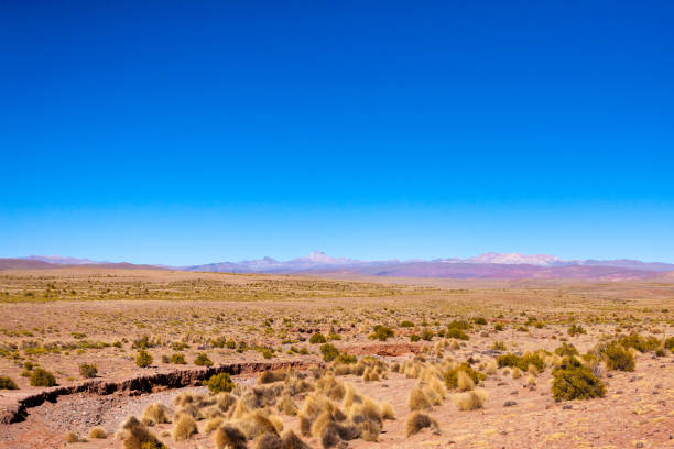 istock Bolivian mountains landscape,Bolivia 1222060764