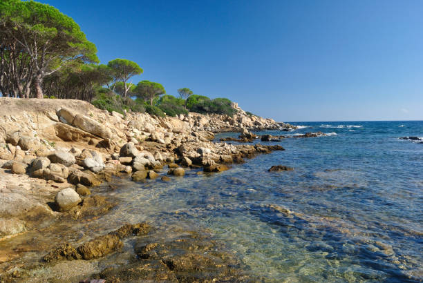 istock The coast of Capo Ferrato 1222061161