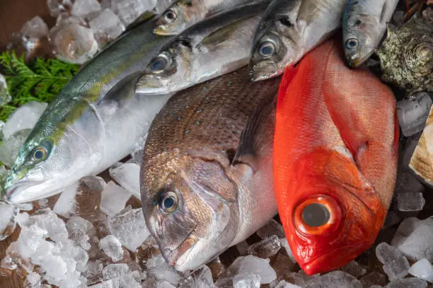 Photo of assorted japanese fresh fishes on ice