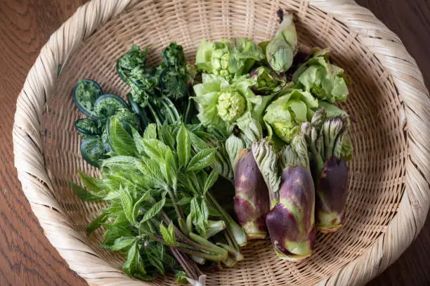 assorted traditional japanese wild vegetables