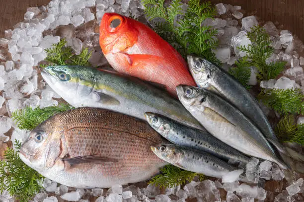 Photo of assorted japanese fresh fishes on ice