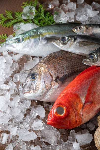 istock assorted japanese fresh fishes on ice 1222061257