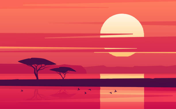 illustrations, cliparts, dessins animés et icônes de coucher de soleil vif au-dessus du lac africain. illustration de vecteur - national wildlife reserve illustrations