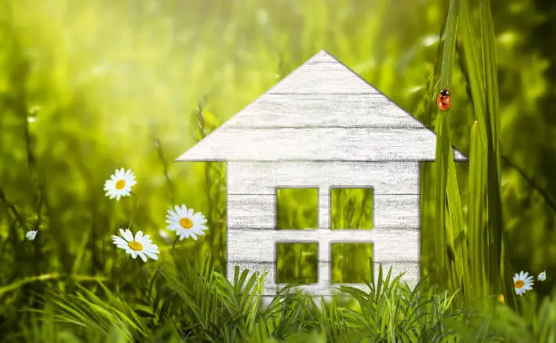 Eco friendly wooden house model in green grass, daisies chamomile flower, ladybug sitting on leaf, ecological sustainable lifestyle, life harmony. Buying or selling real estate, investment concept.