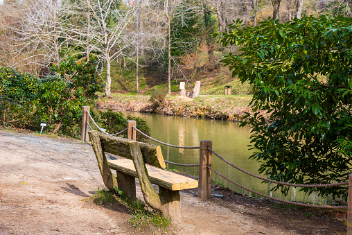 A wooden bench near a pond at daytime.Beautiful view of the lake.The concept of outdoor recreation.sunny. Toned