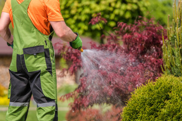 istock Male Groundkeeper Watering Plants In Garden. 1222063836