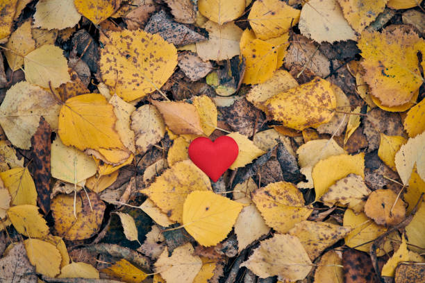 istock Unrequited, one-sided love or loneliness concept. 1222064690