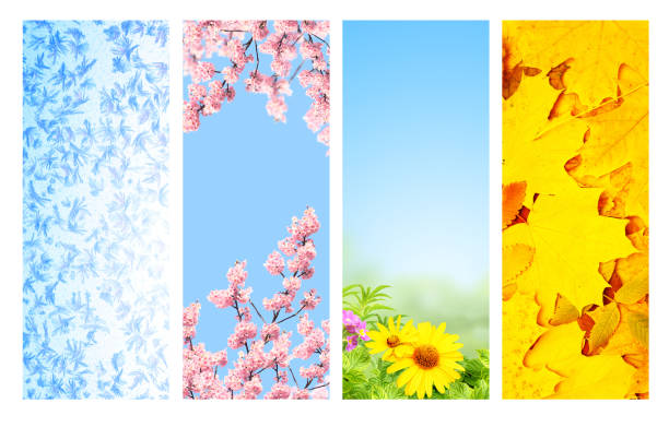 istock Four seasons of year 1222064764