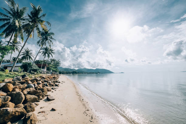 istock Tropical landscape at sunrise. 1222065652