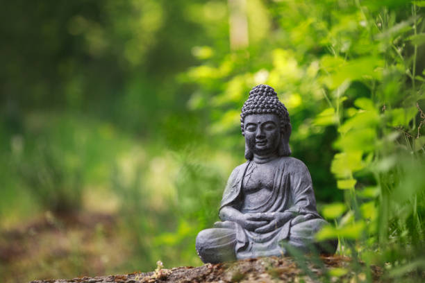 statue de bouddha à l’extérieur sur la nature et le fond vert avec l’espace de copie - bouddha photos et images de collection