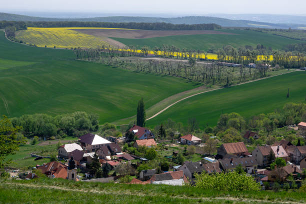 istock Lanes in the fields and vineyards Klentice 1222068091