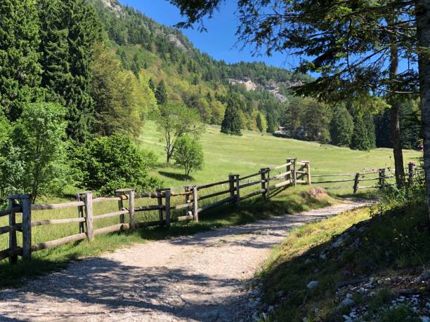 istock Hiking in Trentino 1222072299