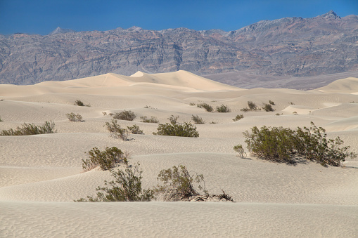 Mesquite Flat Sand Dunes, Death Valley National Park, California, United States.