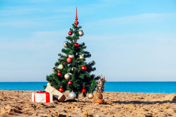 istock Christmas tree on tropical beach holidays winter 1222074952