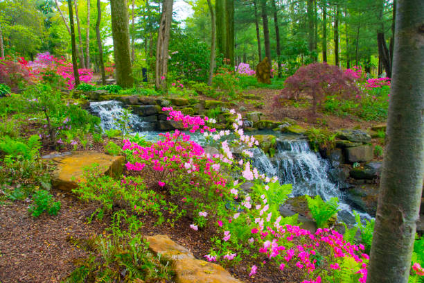 istock Waterfall-Spring Flowers a woodland Scene--Gibson County Indiana 1222076693