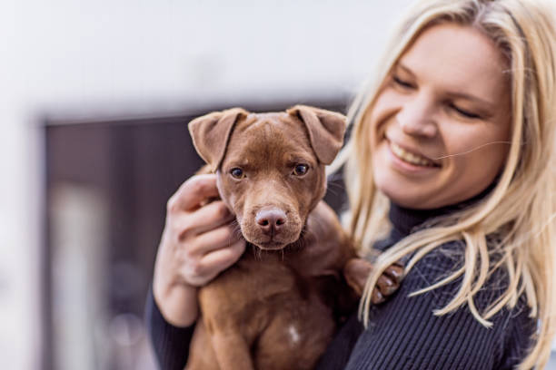 istock Blonde woman with a puppy 1222076707