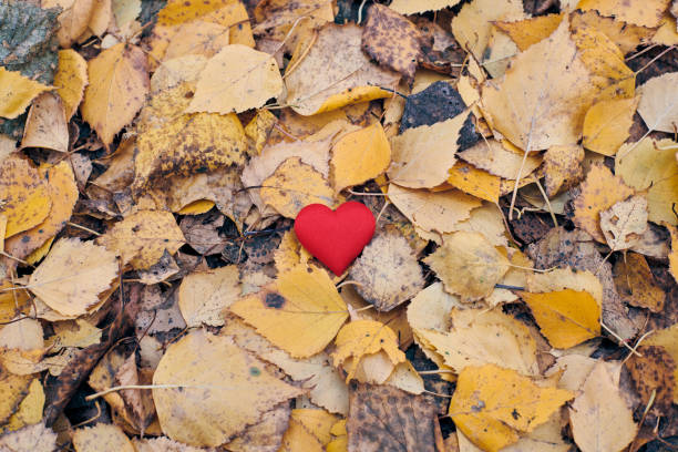 istock Unrequited, one-sided love or loneliness concept. 1222077920