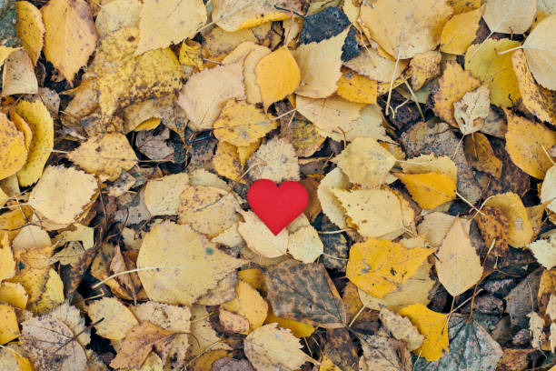 istock Unrequited, one-sided love or loneliness concept. 1222077938
