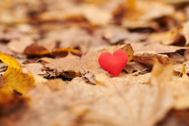 istock Infatuation or unrequited romantic love concept. 1222077968