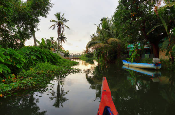 istock Backwaters in Allepey at sunset, Kerala, India. 1222079796