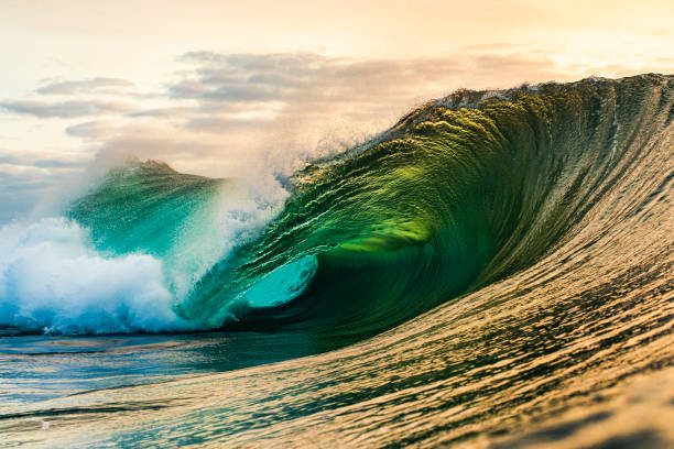 istock Dangerous wave breaking in the ocean with golden light 1222082829
