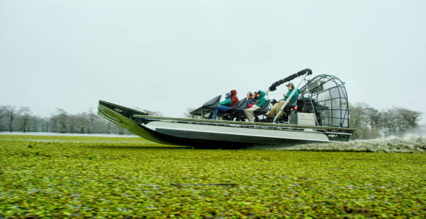 ein luftboot rast durch schwimmende salvinia (fern) im atchafalaya river basin swamp im südlichen louisiana unter einem bedeckten himmel - moss spanish moss stock-fotos und bilder